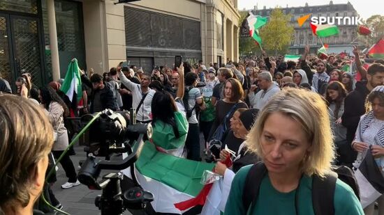 Pro-Palestinian rally taking place in Paris despite ban from authorities