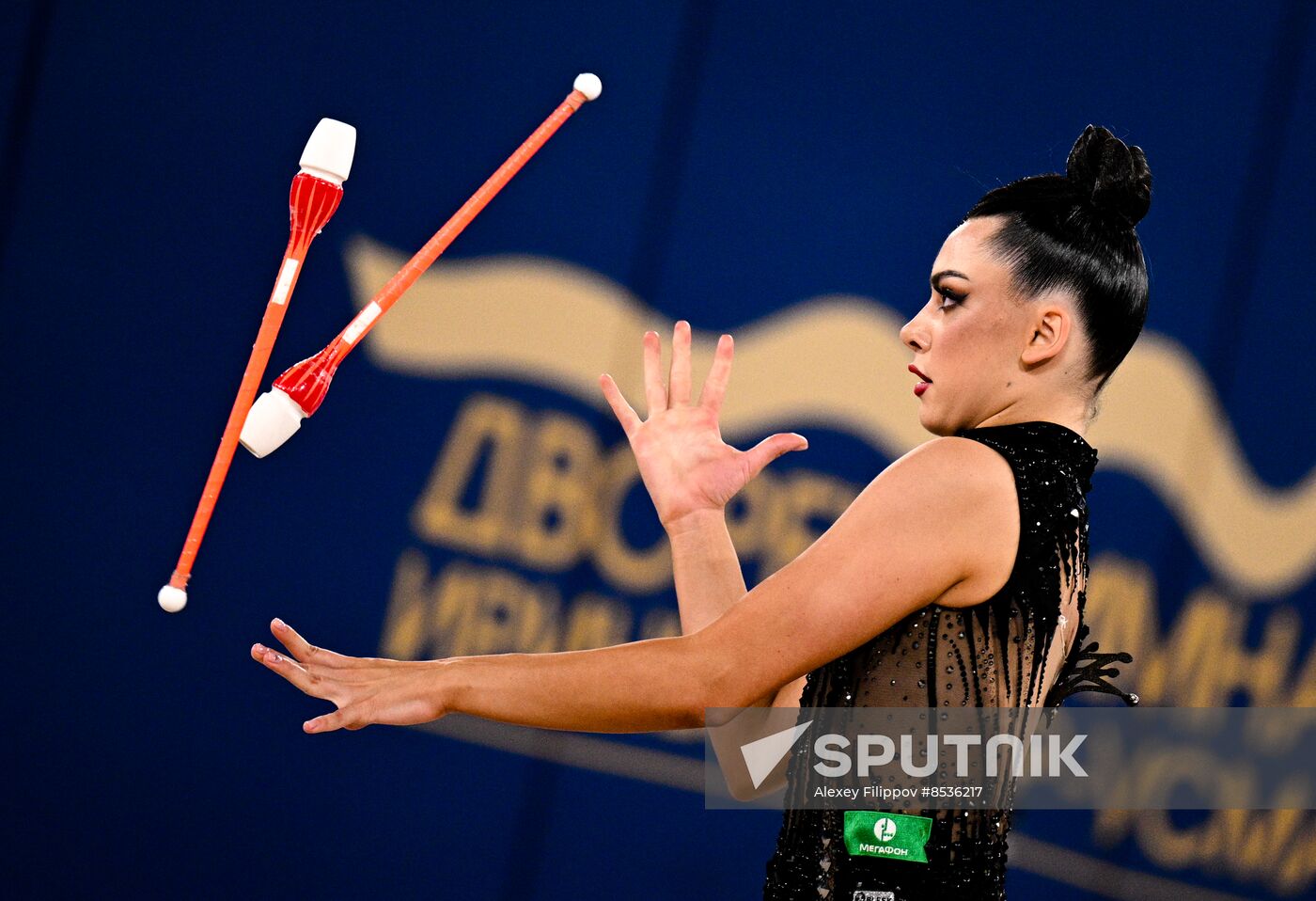 Russia Rhythmic Gymnastics Cup of Strongest