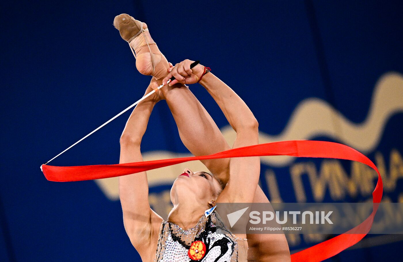 Russia Rhythmic Gymnastics Cup of Strongest