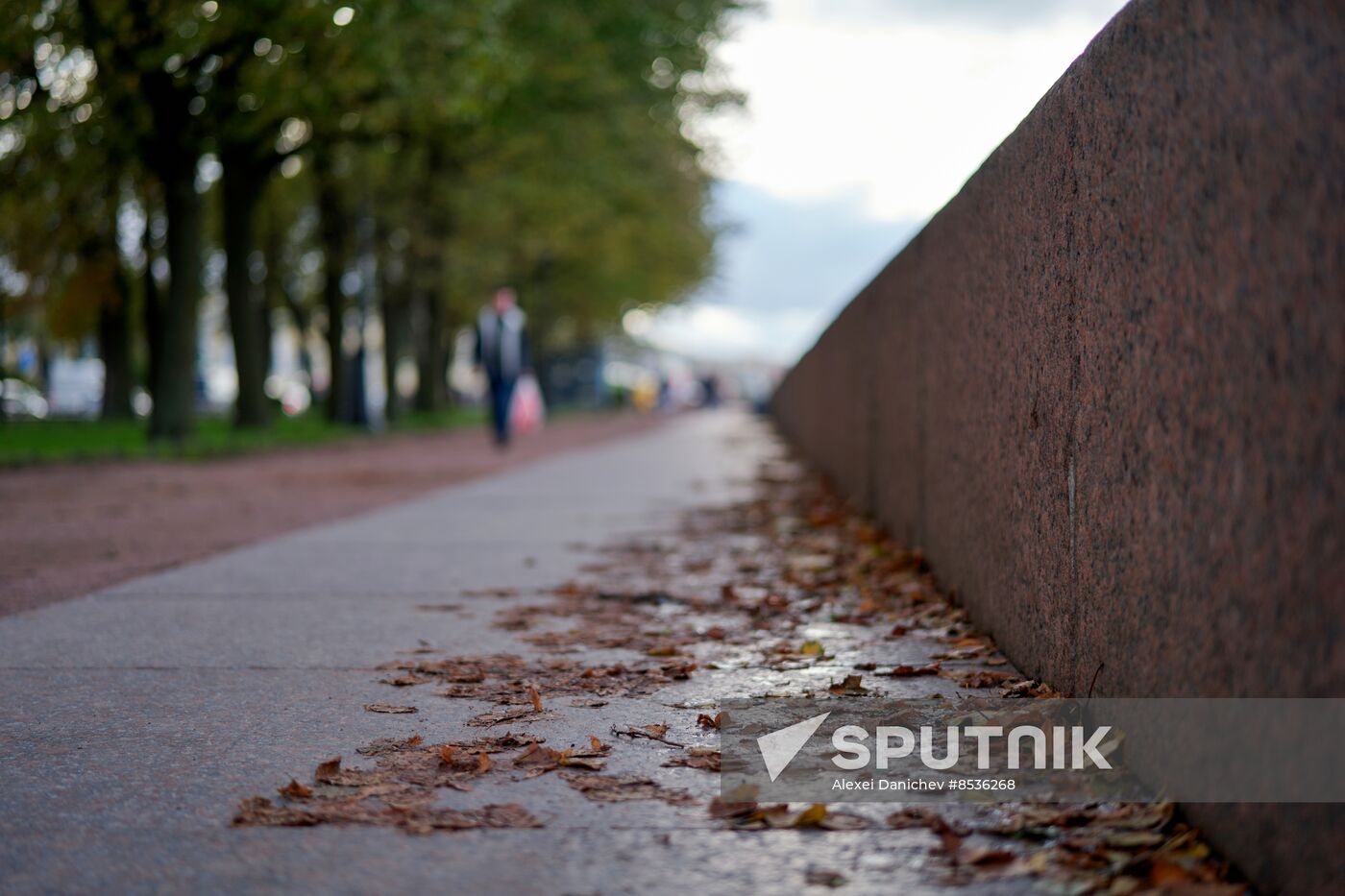 Weather in St. Petersburg