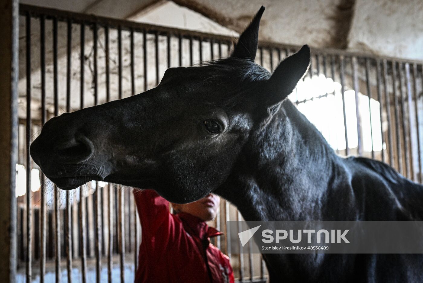 Russia LPR Equestrian Sports School