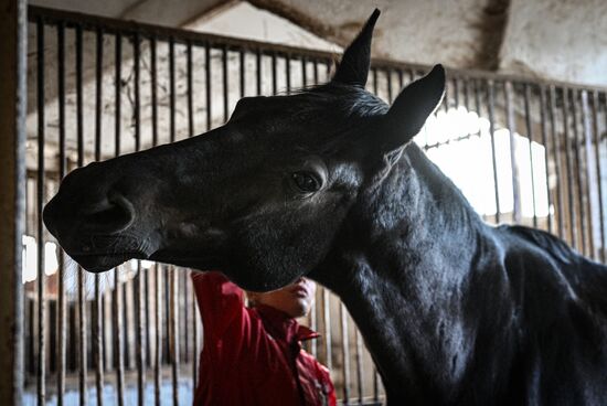 Russia LPR Equestrian Sports School