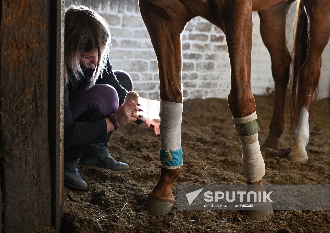 Russia LPR Equestrian Sports School