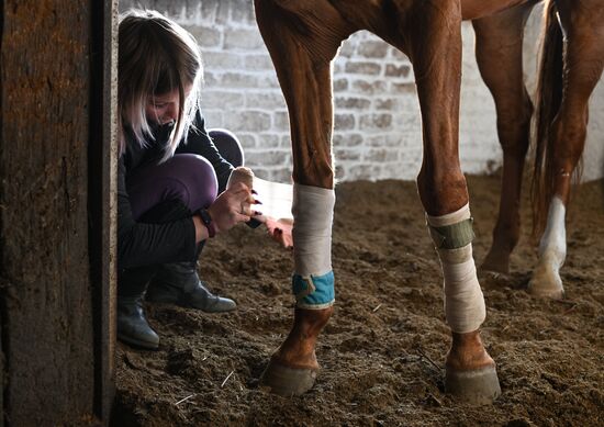 Russia LPR Equestrian Sports School