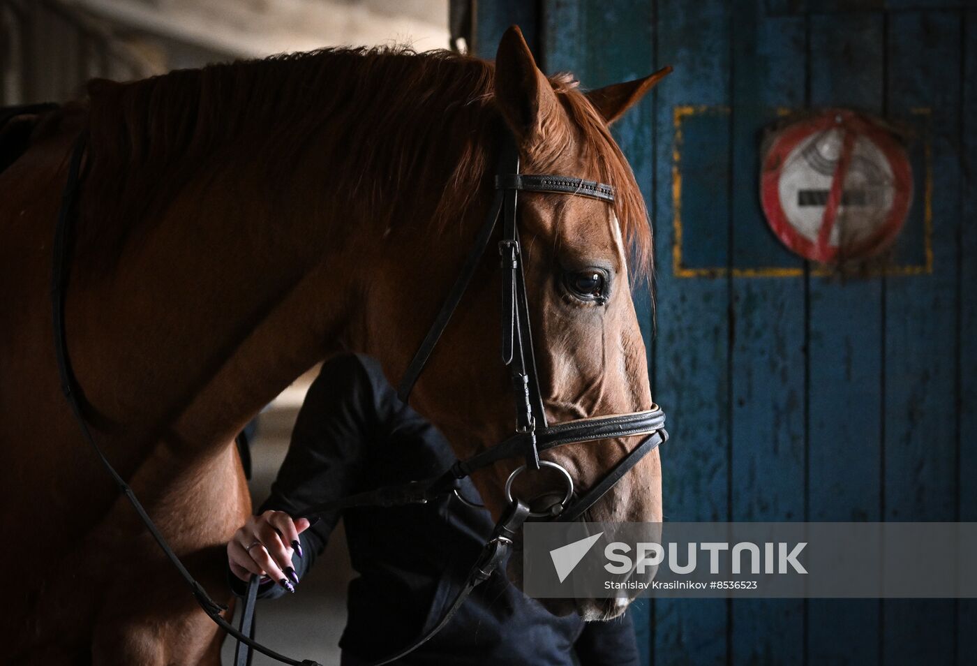 Russia LPR Equestrian Sports School