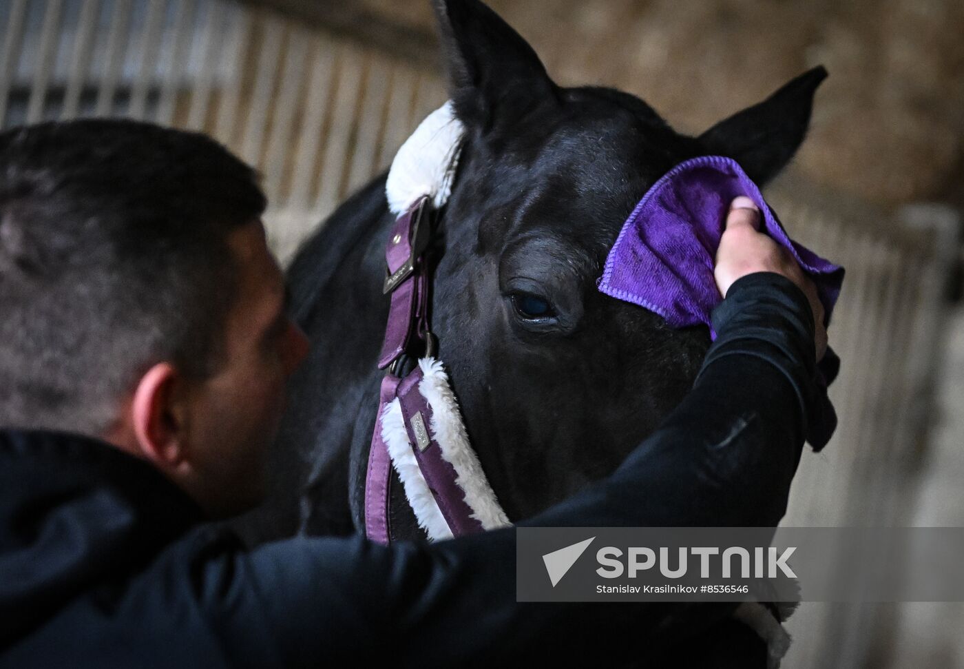 Russia LPR Equestrian Sports School