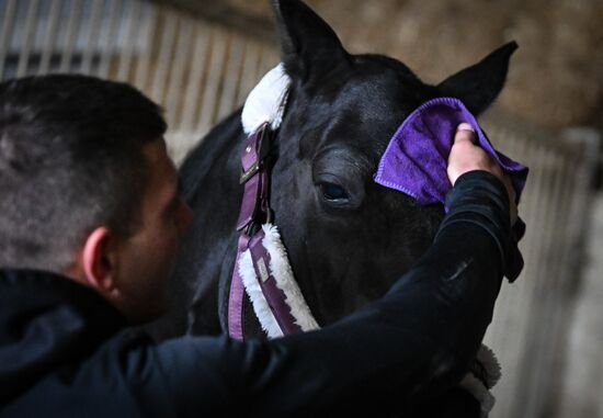 Russia LPR Equestrian Sports School