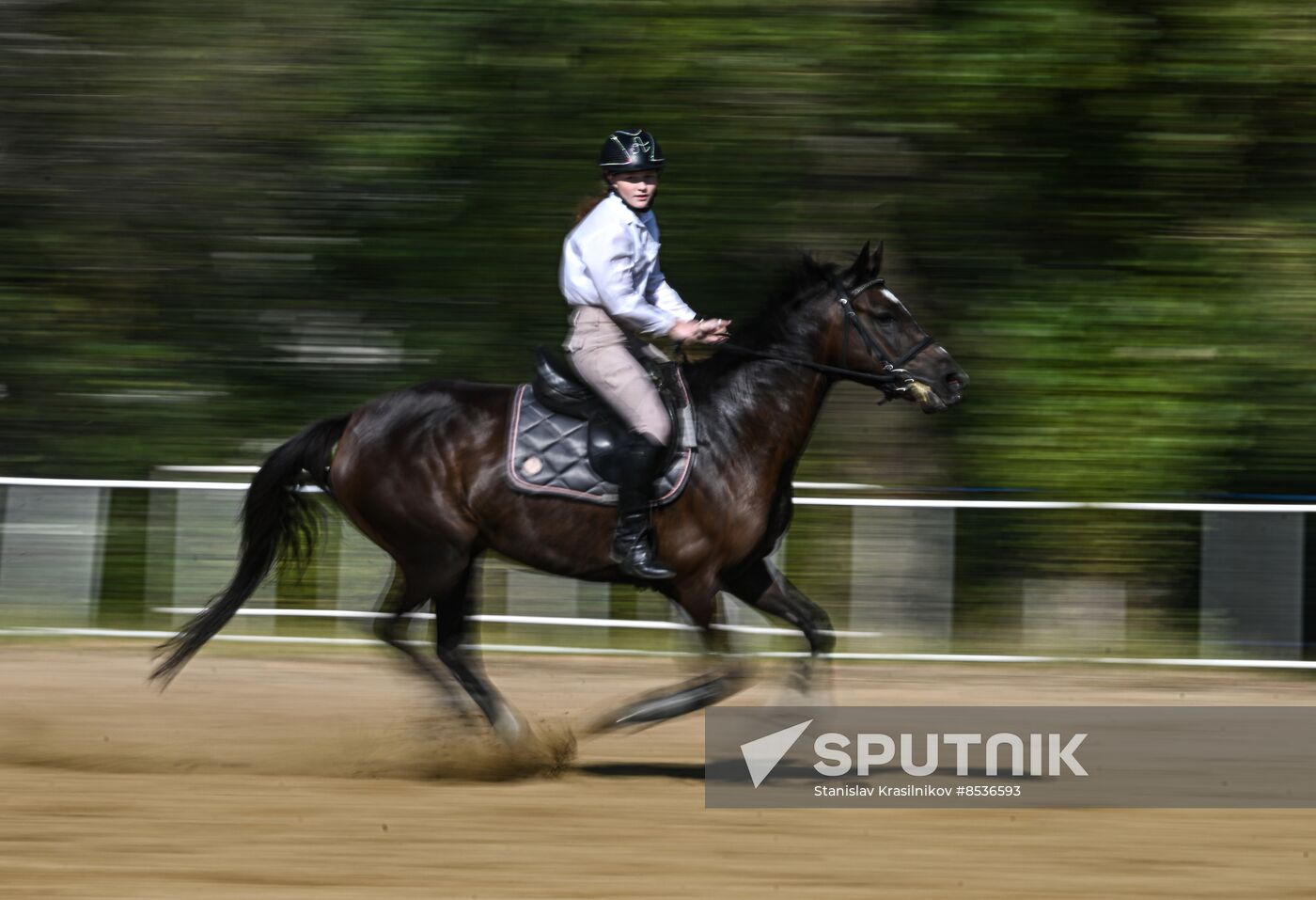 Russia LPR Equestrian Sports School