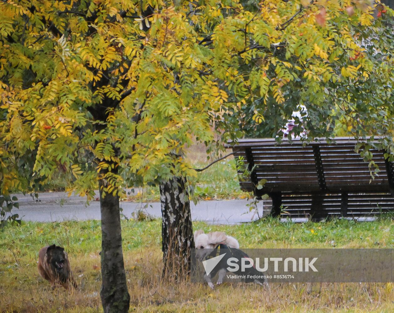 Russia Daily Life