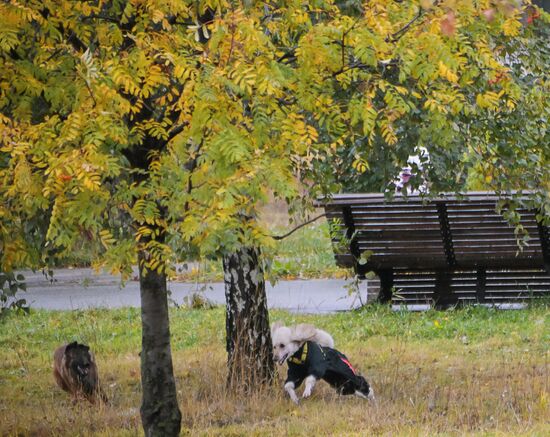 Russia Daily Life