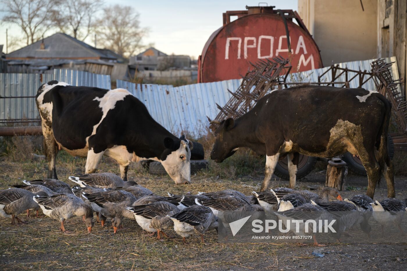Russia Country Life