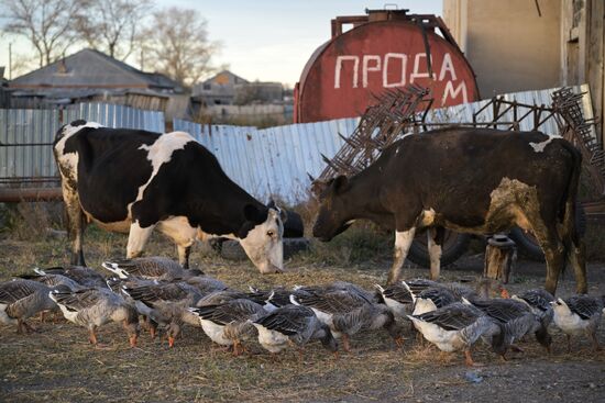 Russia Country Life