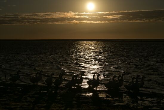 Russia Country Life