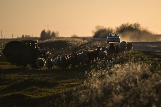 Russia Country Life