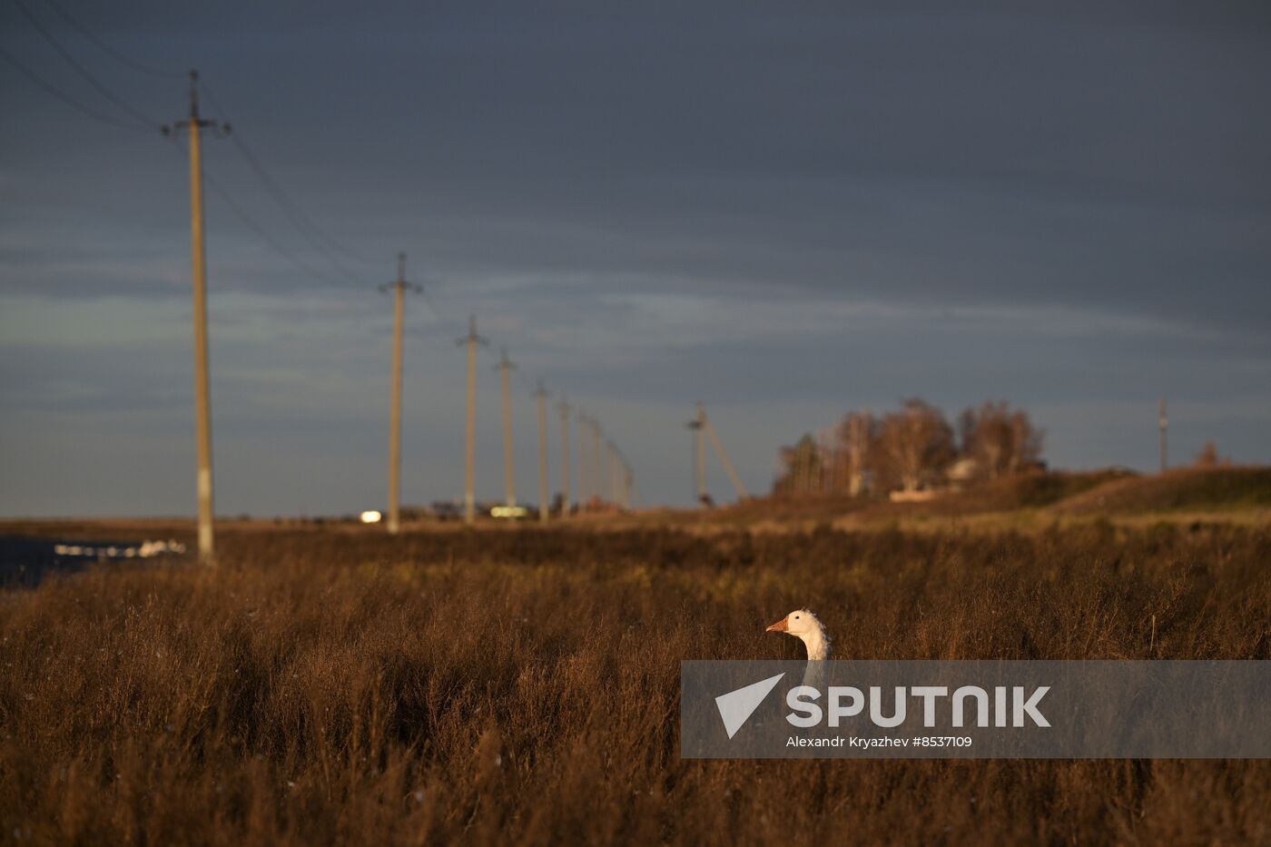 Russia Country Life