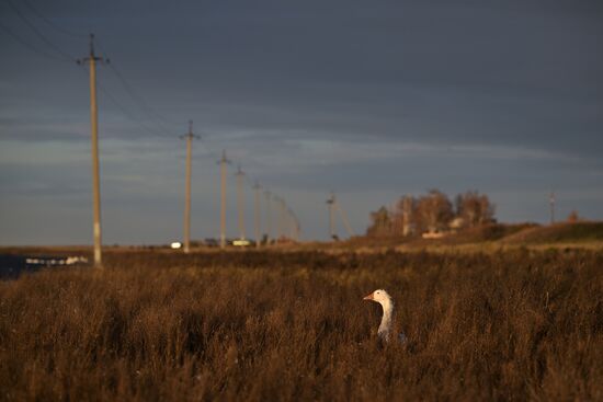 Russia Country Life