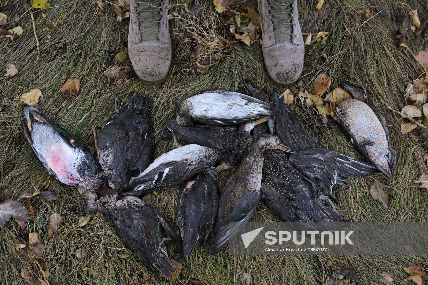Russia Country Life