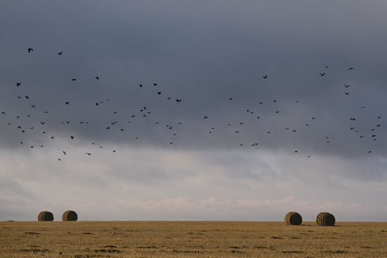 Russia Country Life