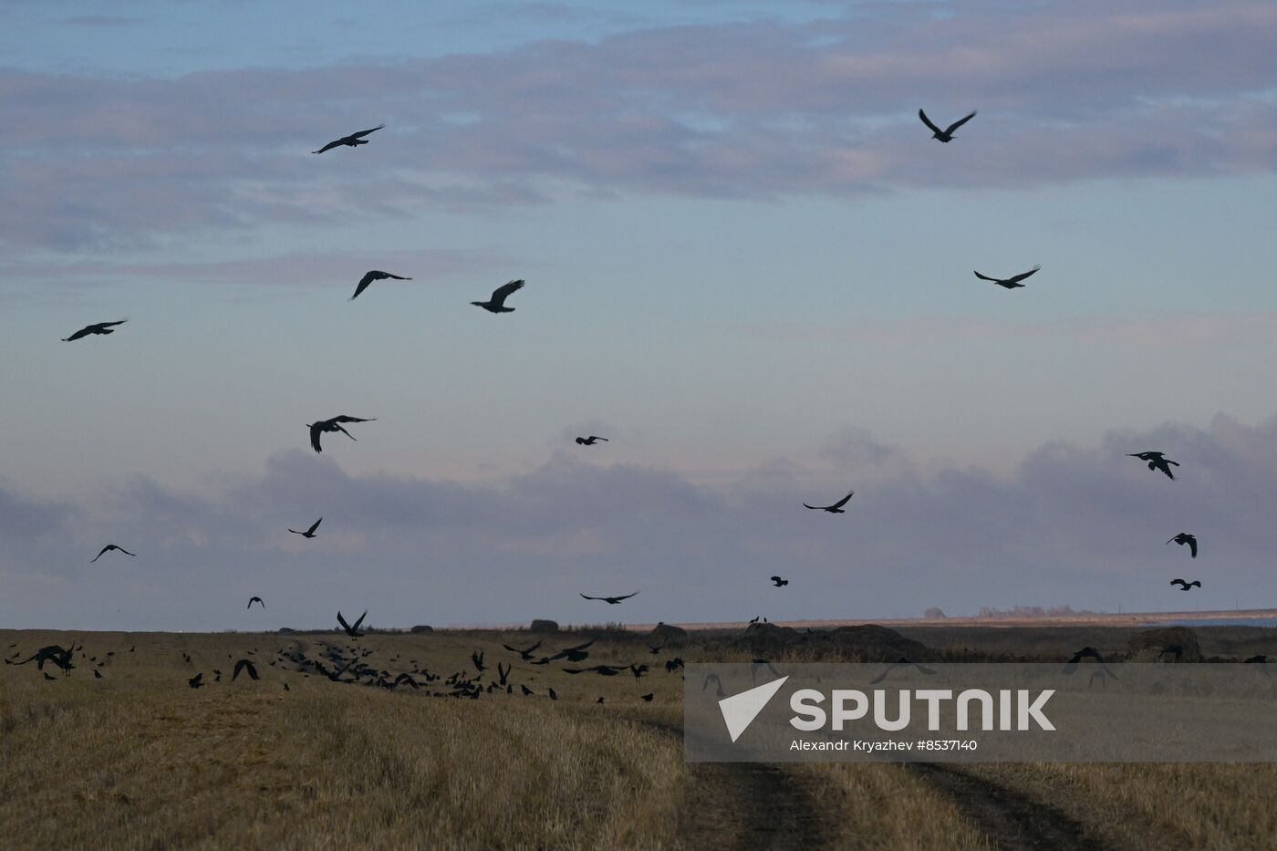 Russia Country Life