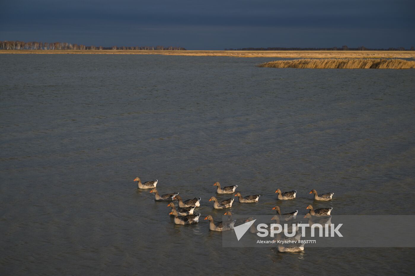 Russia Country Life