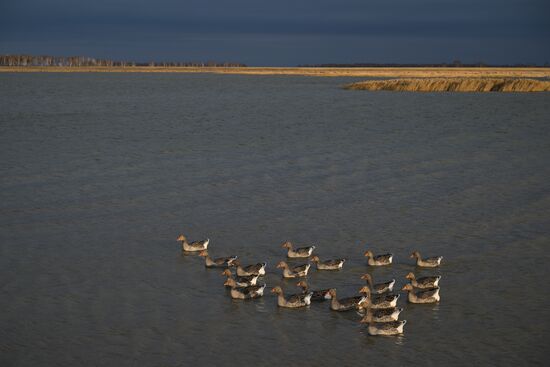Russia Country Life