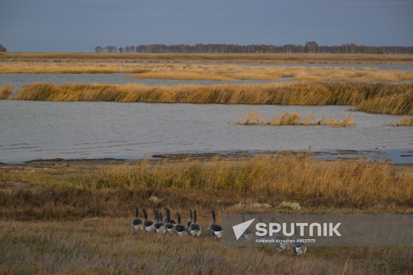 Russia Country Life