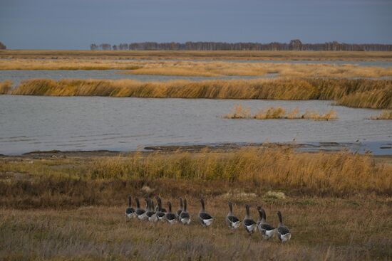 Russia Country Life