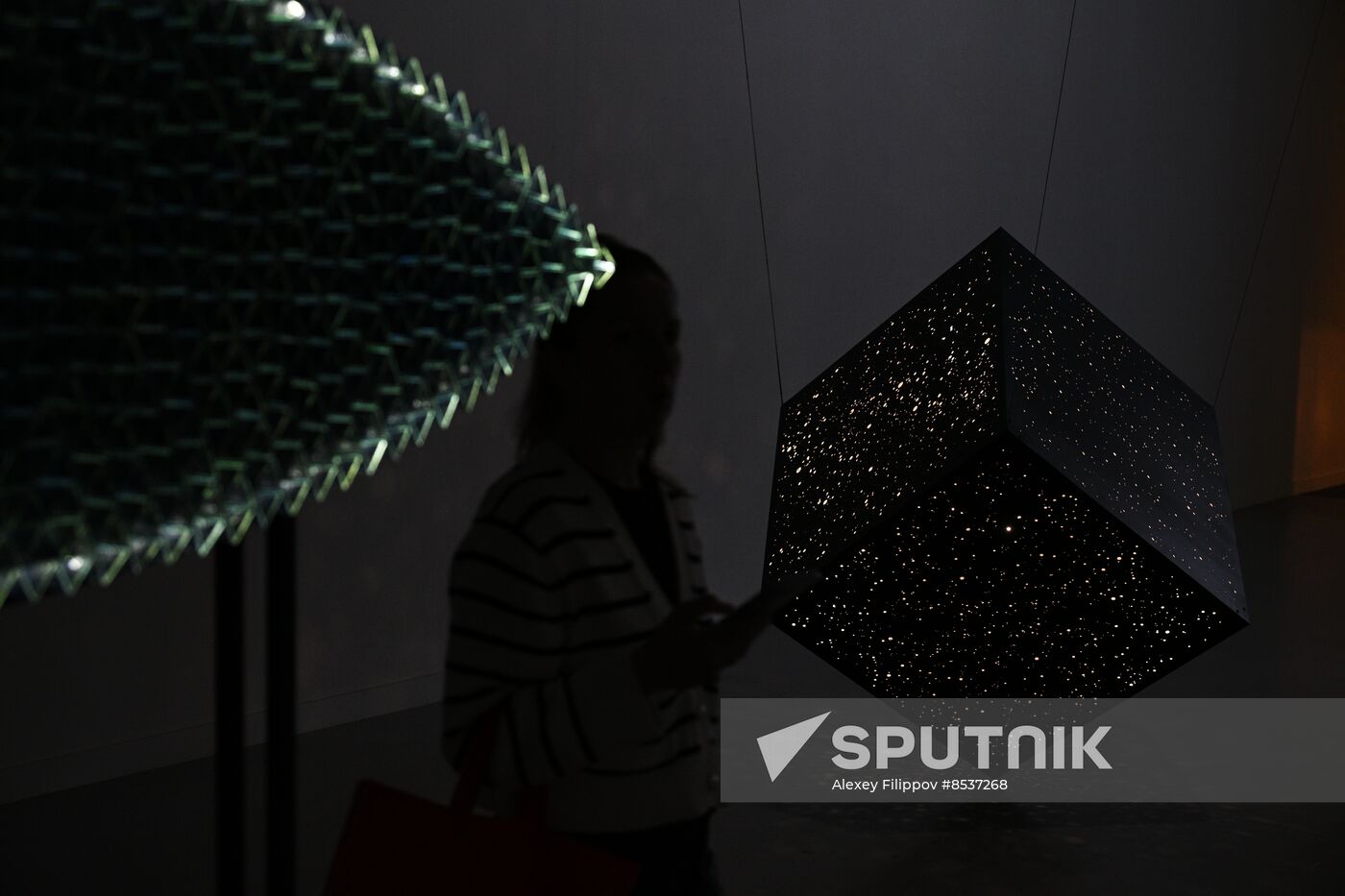 Russia Art Light Exhibition