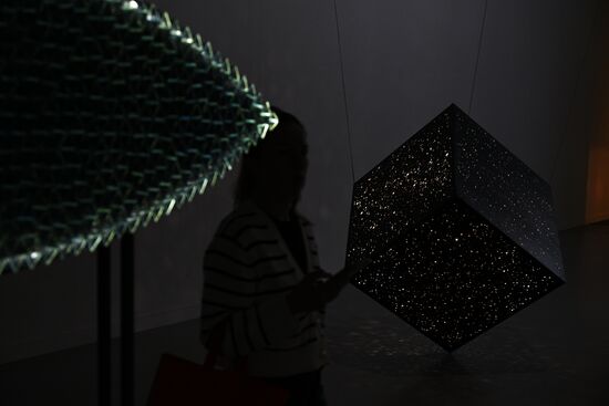 Russia Art Light Exhibition