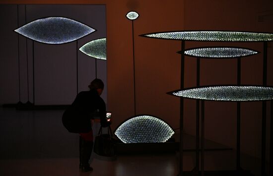 Russia Art Light Exhibition