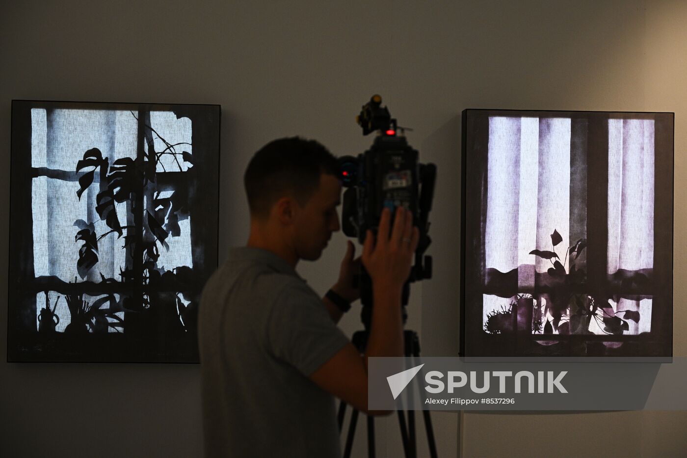 Russia Art Light Exhibition