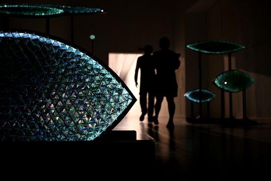 Russia Art Light Exhibition
