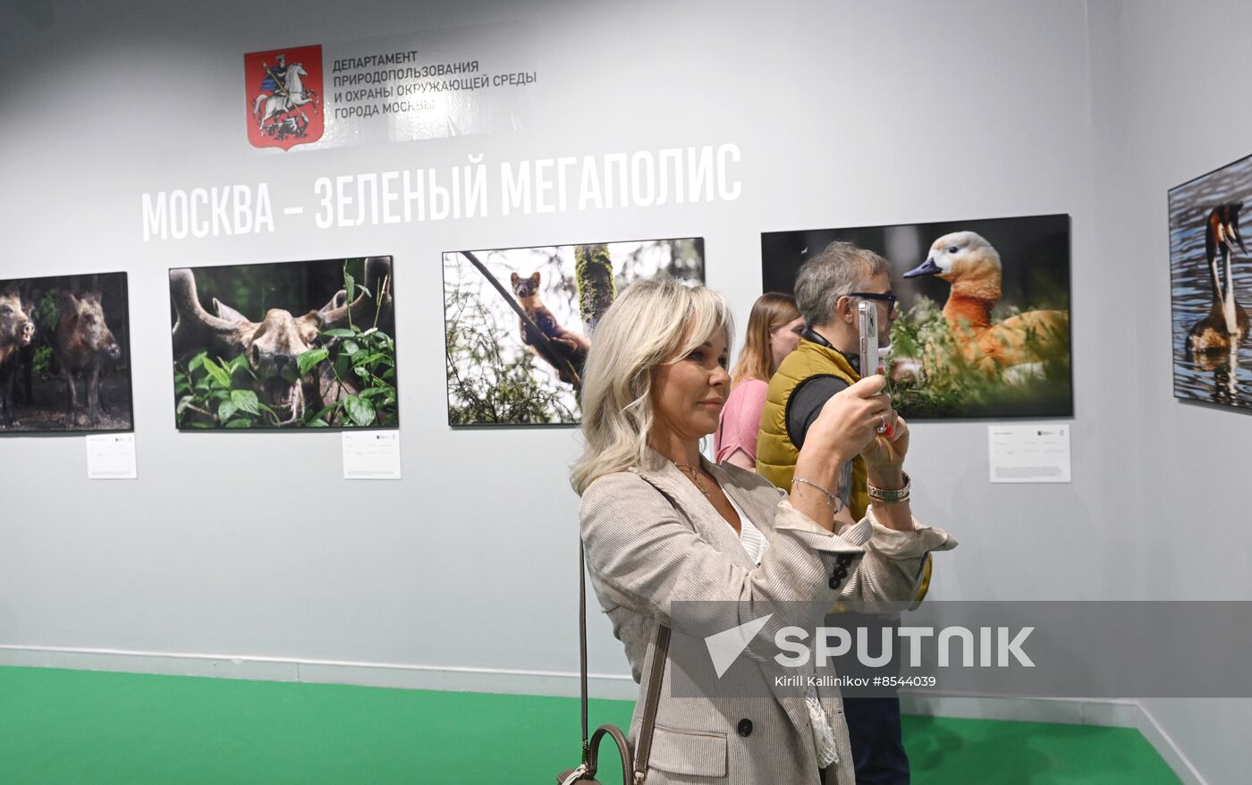 Russia Golden Turtle Wildlife Festival