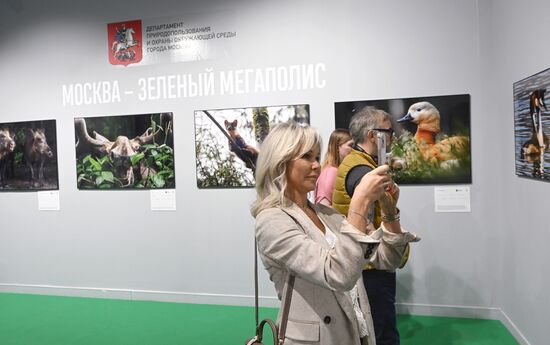 Russia Golden Turtle Wildlife Festival