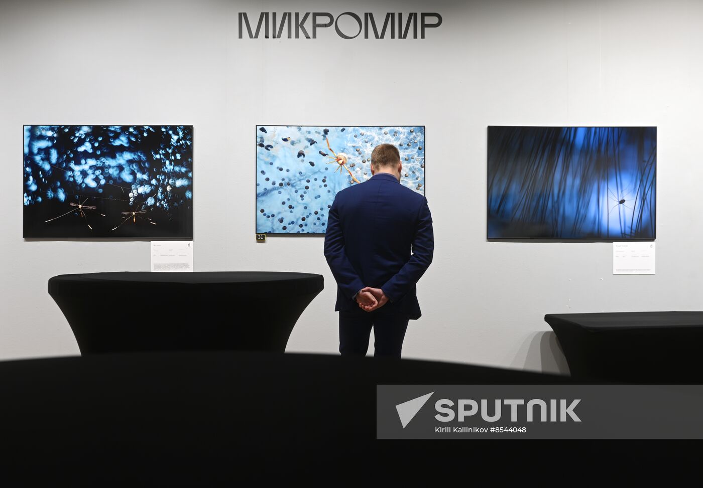 Russia Golden Turtle Wildlife Festival