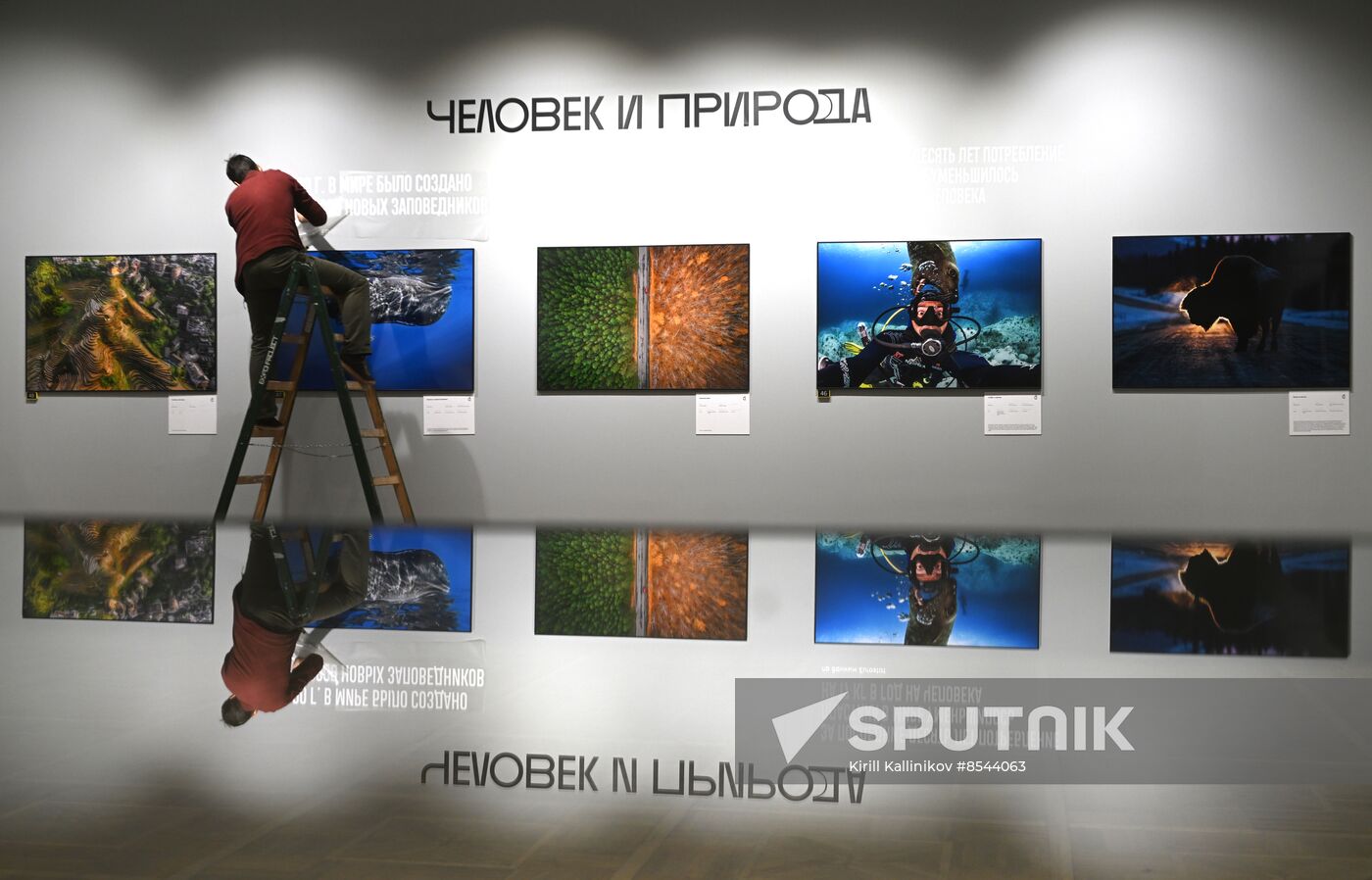 Russia Golden Turtle Wildlife Festival