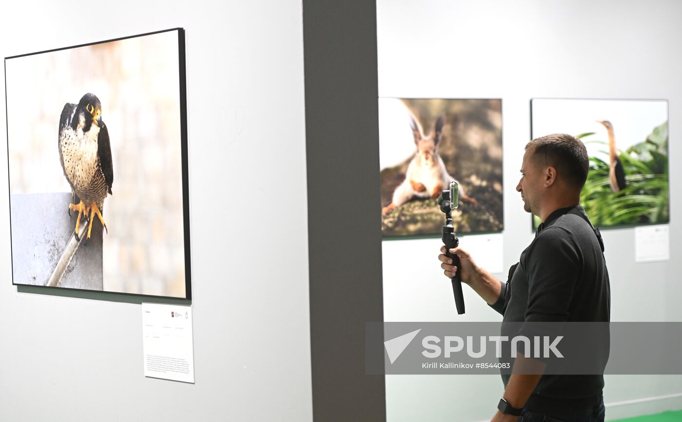 Russia Golden Turtle Wildlife Festival