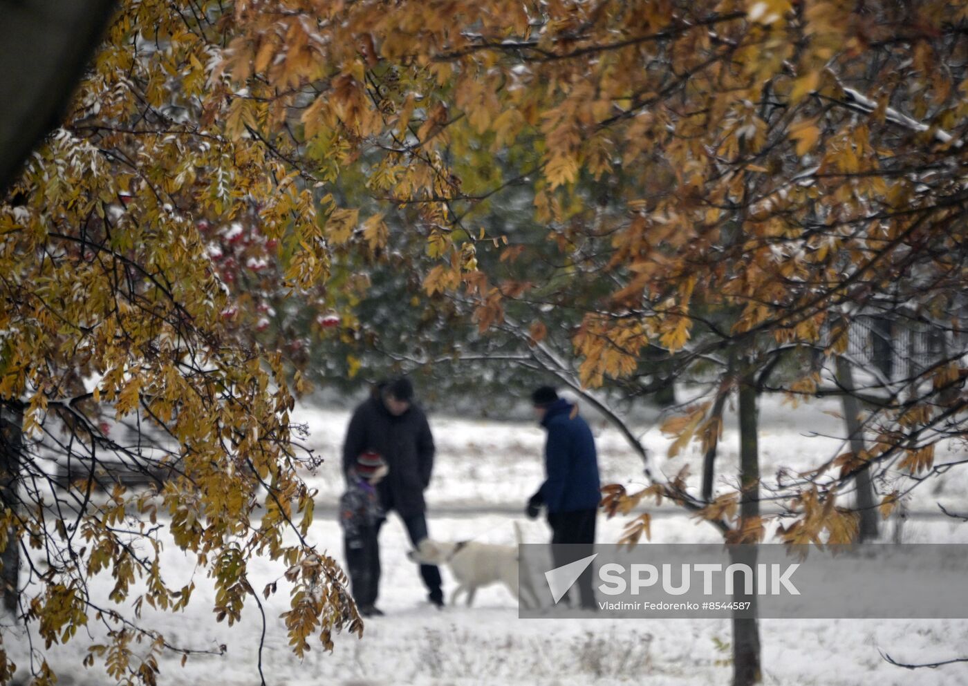 Russia Weather