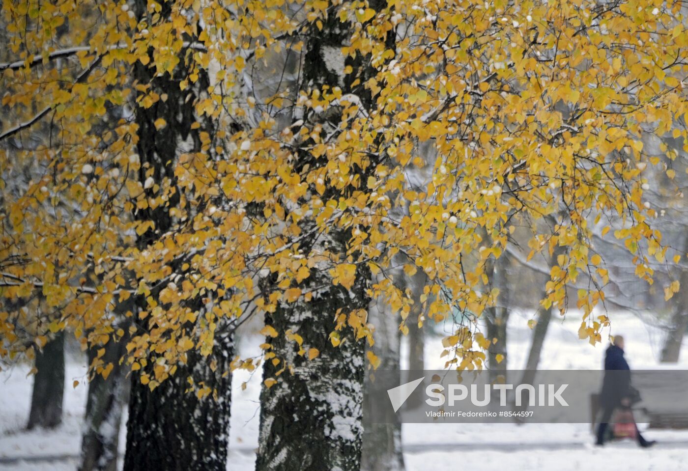 Russia Weather