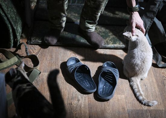 Russia Ukraine Military Operation Cossack Unit