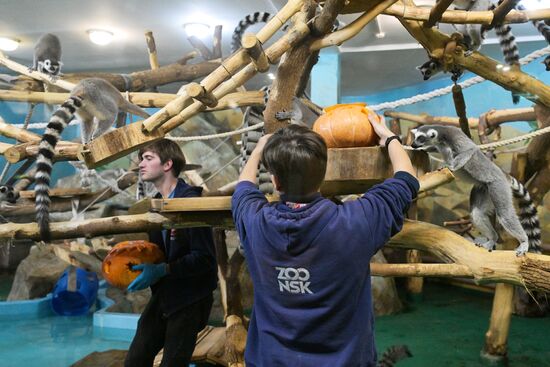 Russia Zoo