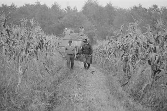 Lenin collective farm in Georgian SSR