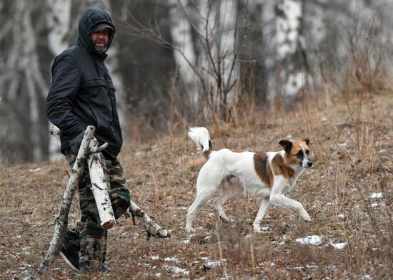 Russia Stray Dogs