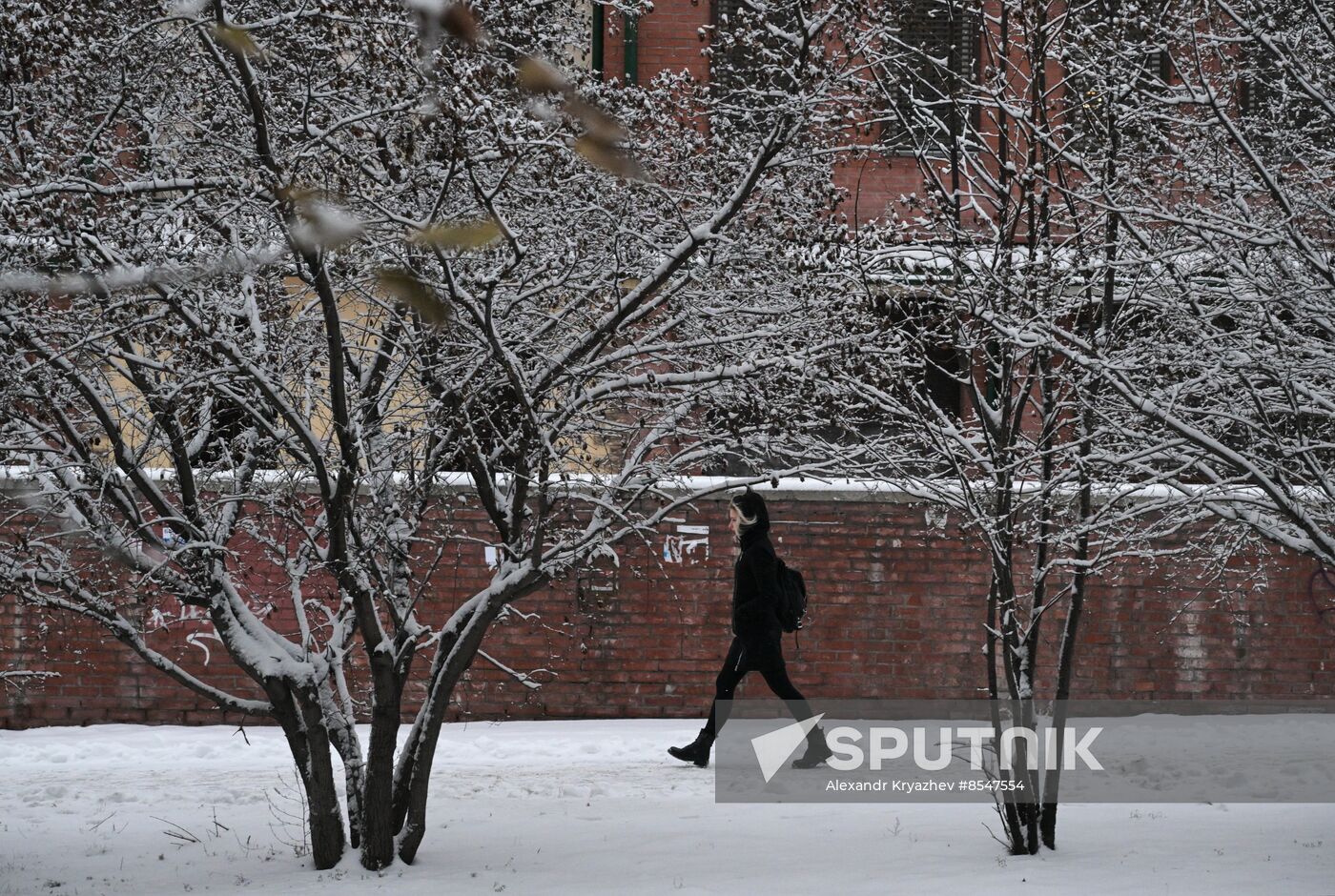 Russia Weather