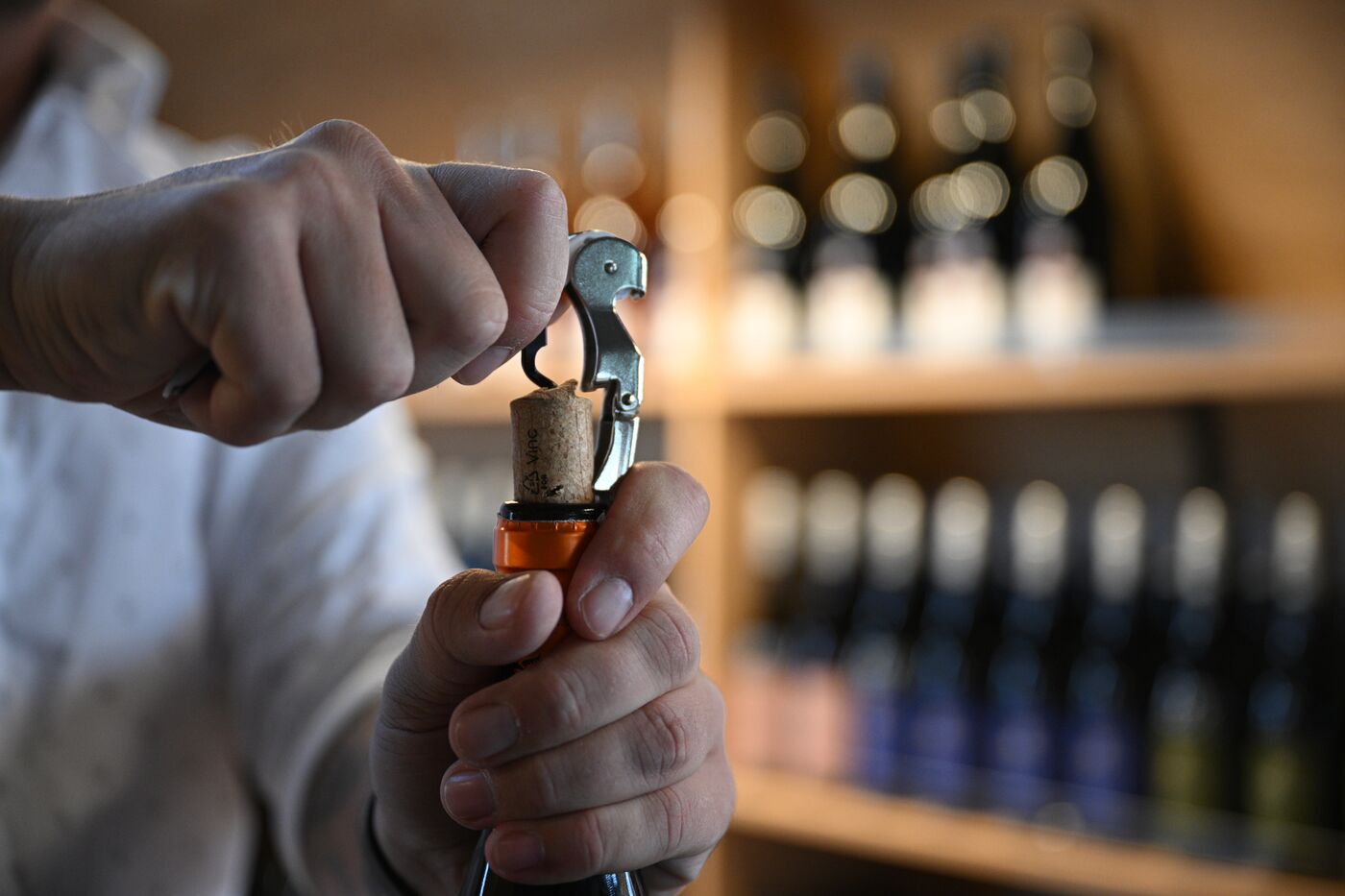 International RUSSIA EXPO forum and exhibition. Farm products and wines fair