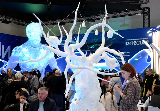 The International RUSSIA EXPO Forum and Exhibition. Location: Russia, Moscow. Author: Ekaterina Chesnokova/ANO “Directorate for Sports and Social Projects”. RUSSIA EXPO