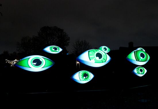 Russia Light Festival