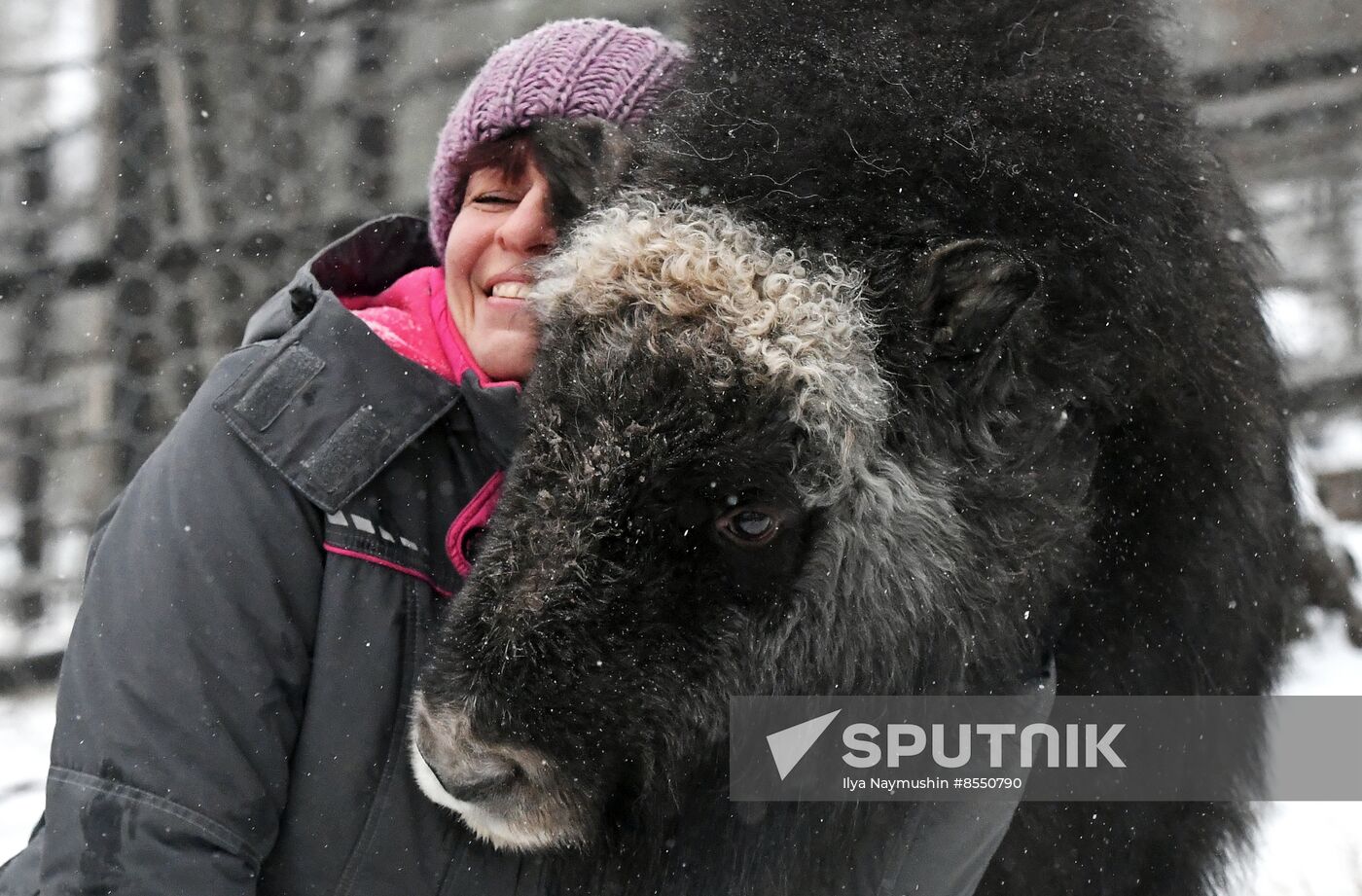 Russia Zoo