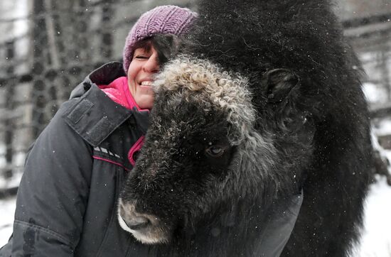 Russia Zoo