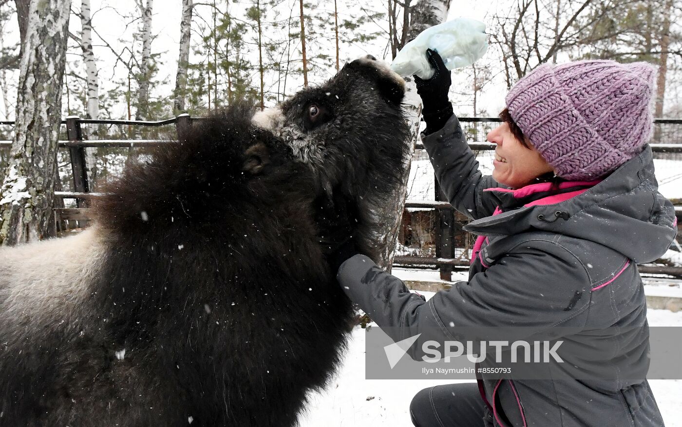 Russia Zoo